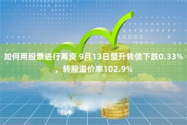 如何用股票进行筹资 9月13日盟升转债下跌0.33%，转股溢价率102.9%
