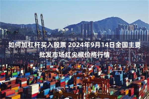 如何加杠杆买入股票 2024年9月14日全国主要批发市场红尖椒价格行情
