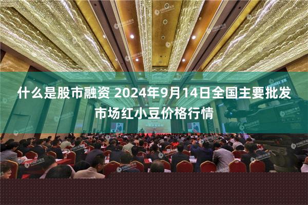 什么是股市融资 2024年9月14日全国主要批发市场红小豆价格行情