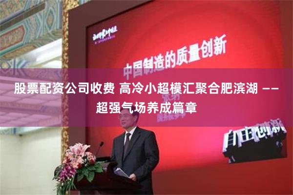 股票配资公司收费 高冷小超模汇聚合肥滨湖 ——超强气场养成篇章