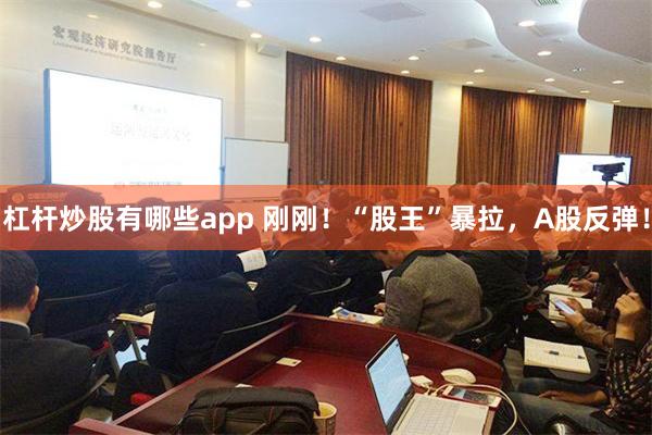 杠杆炒股有哪些app 刚刚！“股王”暴拉，A股反弹！