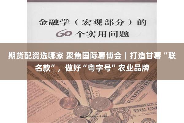 期货配资选哪家 聚焦国际薯博会｜打造甘薯“联名款”，做好“粤字号”农业品牌