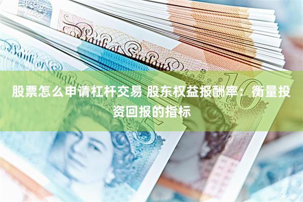 股票怎么申请杠杆交易 股东权益报酬率：衡量投资回报的指标