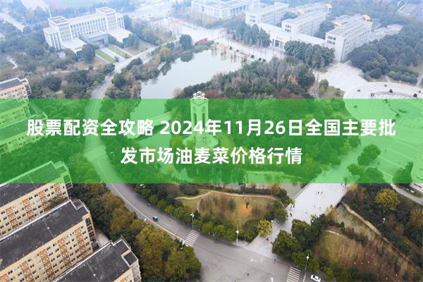 股票配资全攻略 2024年11月26日全国主要批发市场油麦菜价格行情