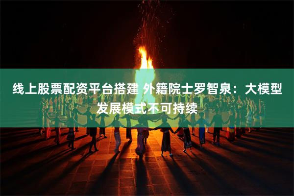 线上股票配资平台搭建 外籍院士罗智泉：大模型发展模式不可持续