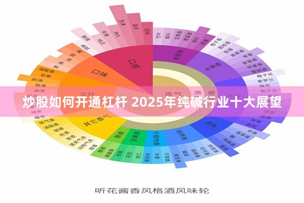 炒股如何开通杠杆 2025年纯碱行业十大展望