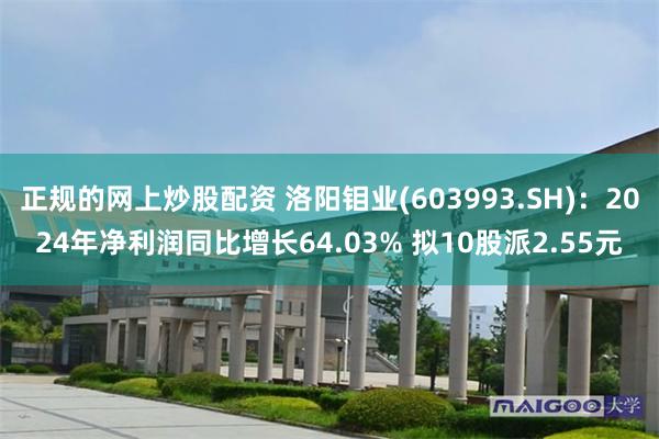 正规的网上炒股配资 洛阳钼业(603993.SH)：2024年净利润同比增长64.03% 拟10股派2.55元