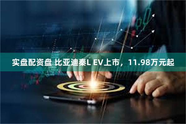 实盘配资盘 比亚迪秦L EV上市，11.98万元起