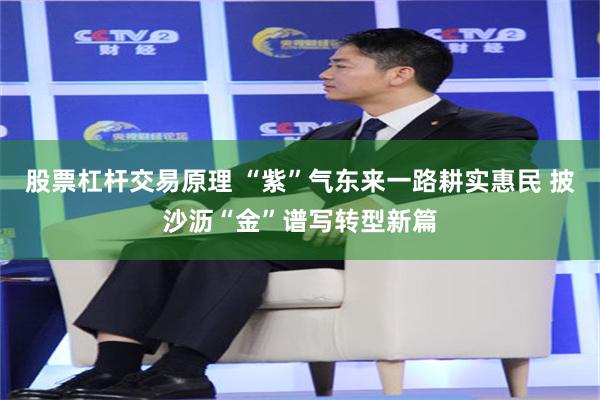 股票杠杆交易原理 “紫”气东来一路耕实惠民 披沙沥“金”谱写转型新篇