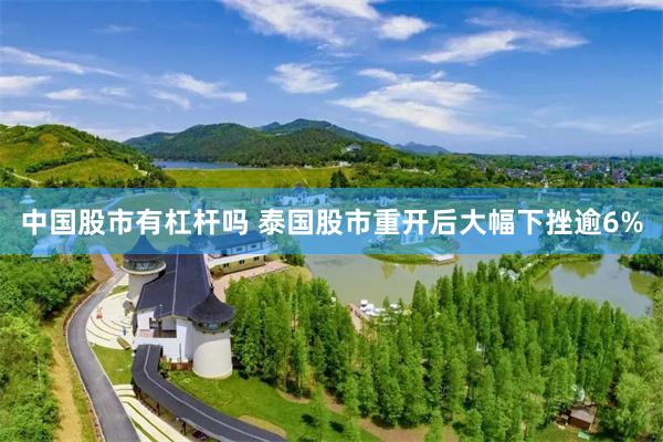 中国股市有杠杆吗 泰国股市重开后大幅下挫逾6%