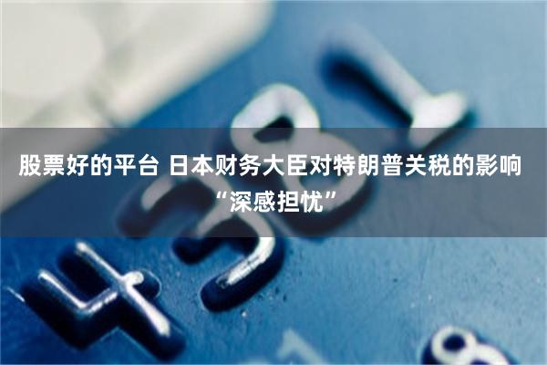 股票好的平台 日本财务大臣对特朗普关税的影响 “深感担忧”