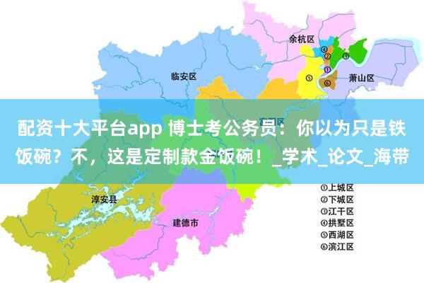 配资十大平台app 博士考公务员：你以为只是铁饭碗？不，这是定制款金饭碗！_学术_论文_海带