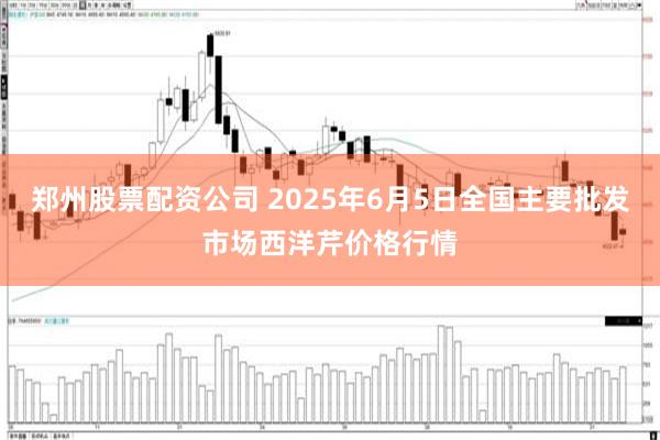郑州股票配资公司 2025年6月5日全国主要批发市场西洋芹价格行情