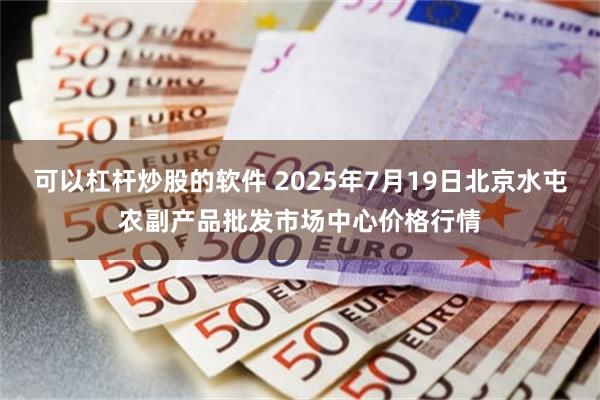 可以杠杆炒股的软件 2025年7月19日北京水屯农副产品批发市场中心价格行情