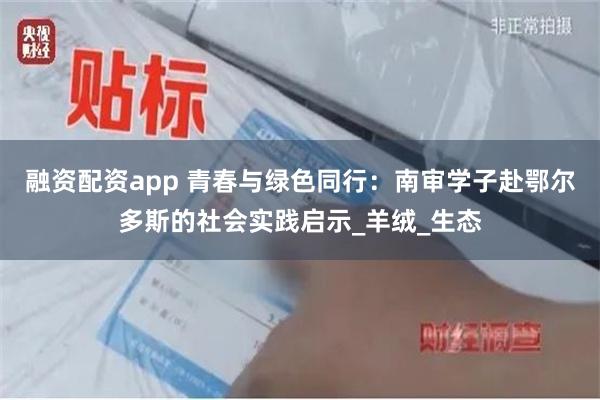 融资配资app 青春与绿色同行：南审学子赴鄂尔多斯的社会实践启示_羊绒_生态