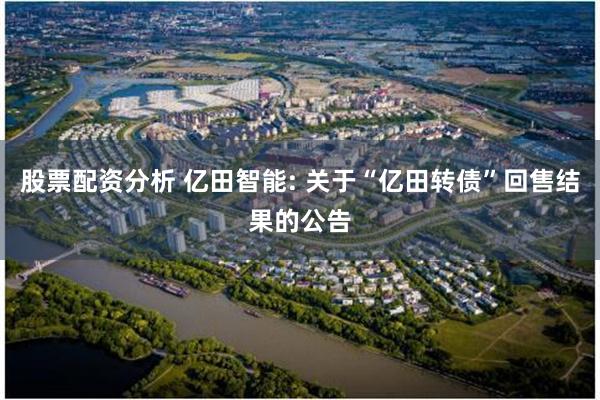 股票配资分析 亿田智能: 关于“亿田转债”回售结果的公告