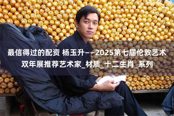 最信得过的配资 杨玉升——2025第七届伦敦艺术双年展推荐艺术家_材质_十二生肖_系列