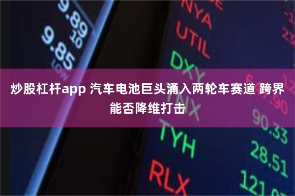 炒股杠杆app 汽车电池巨头涌入两轮车赛道 跨界能否降维打击
