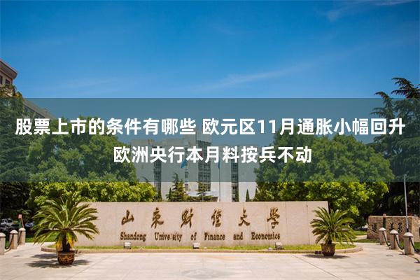 股票上市的条件有哪些 欧元区11月通胀小幅回升 欧洲央行本月料按兵不动